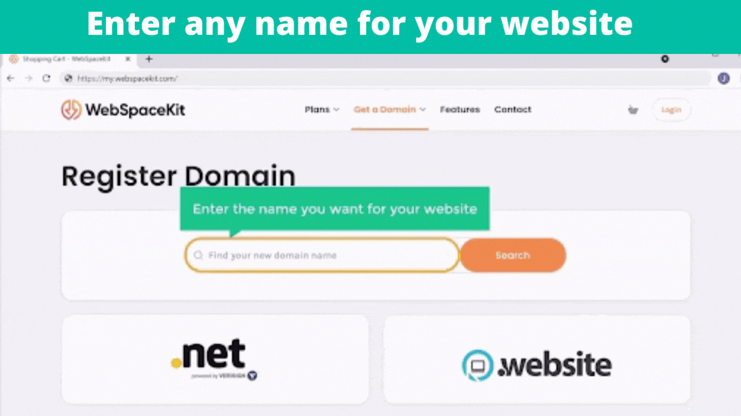 Enter any name for your website