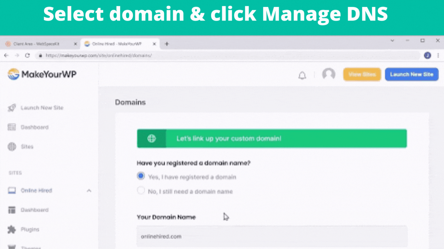 Select domain & click Manage DNS